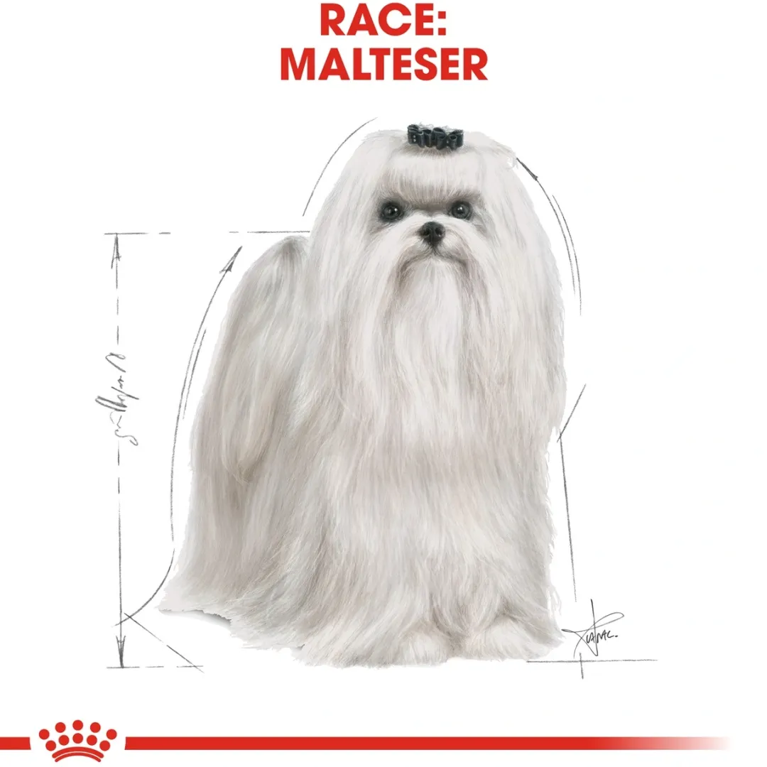 Royal Canin Hundefoder Royal Canin Maltese Adult 1,5 kg - tørfoder til maltesere