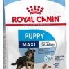 Royal Canin Hundefoder Royal Canin Maxi Puppy 4 kg - hvalpefoder til store racer