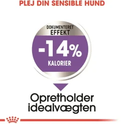 Royal Canin Hundefoder Royal Canin Mini Sterilised Adult 8 kg - hundefoder til steriliserede små hunde