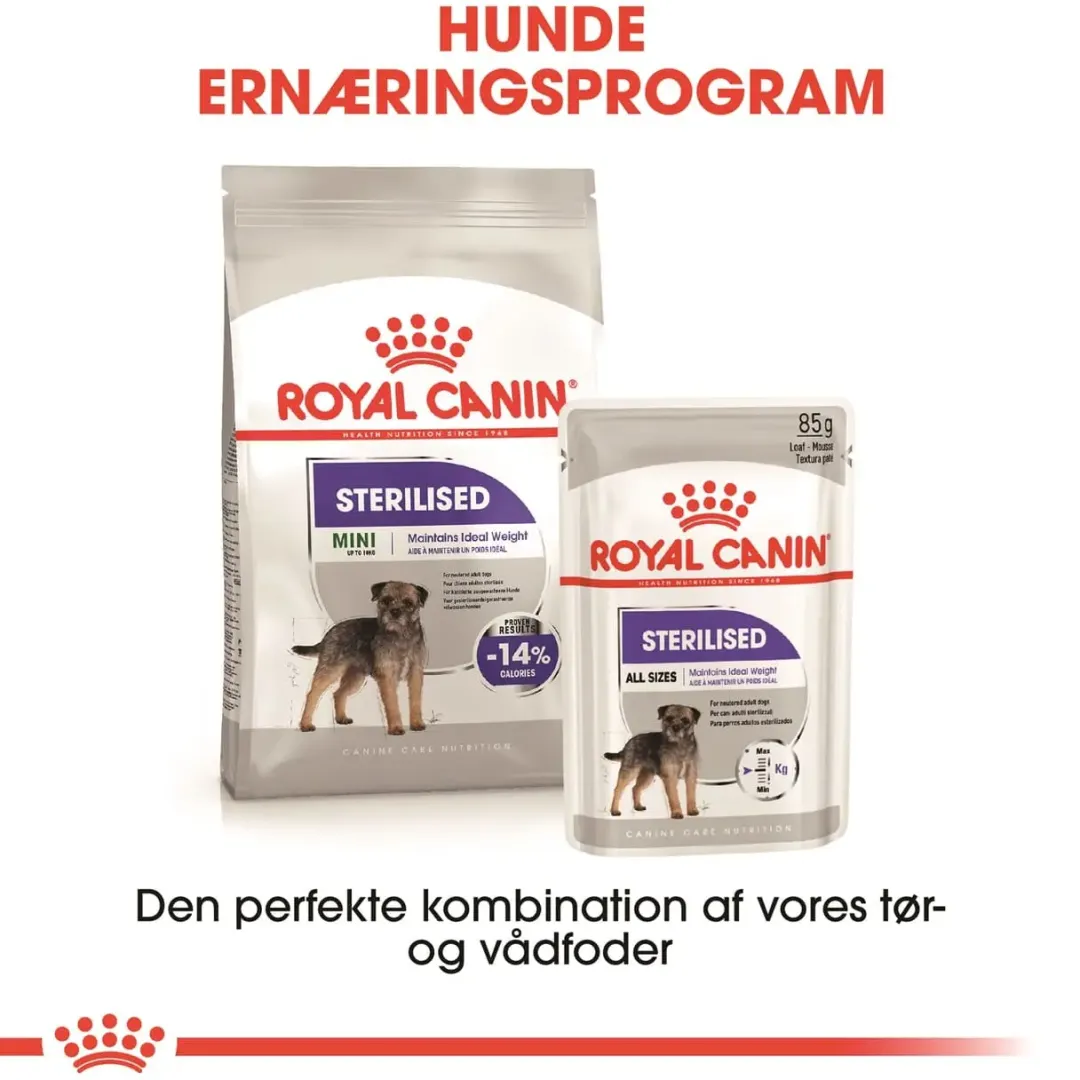 Royal Canin Hundefoder Royal Canin Mini Sterilised Adult 8 kg - hundefoder til steriliserede små hunde