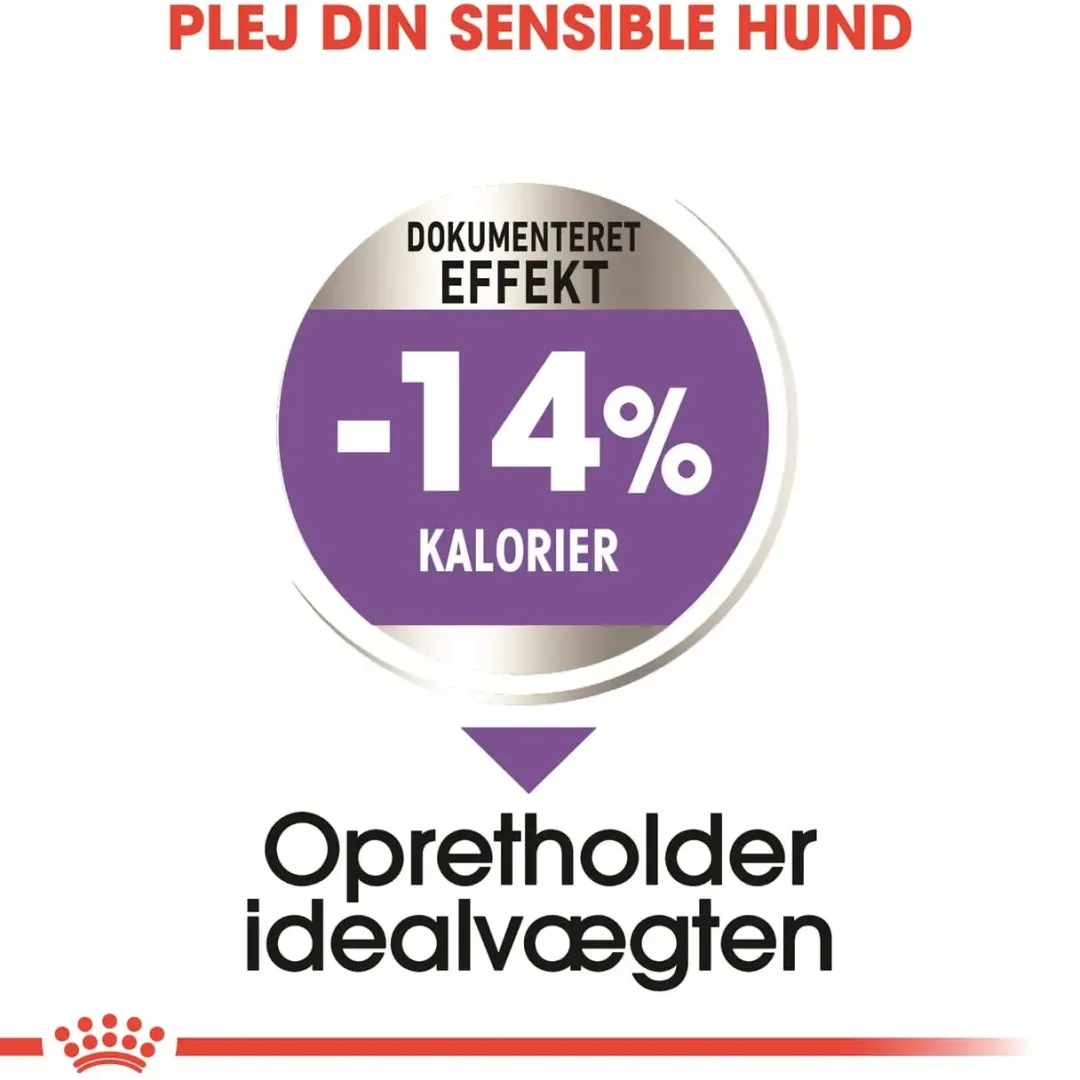 Royal Canin Hundefoder Royal Canin Mini Sterilised Adult 3 kg - hundefoder til små steriliserede hunde