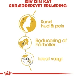 Royal Canin Kattefoder Royal Canin Norsk Skovkat 2 kg