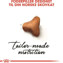 Royal Canin Kattefoder Royal Canin Norsk Skovkat 10 kg (Norwegian Forest Cat)