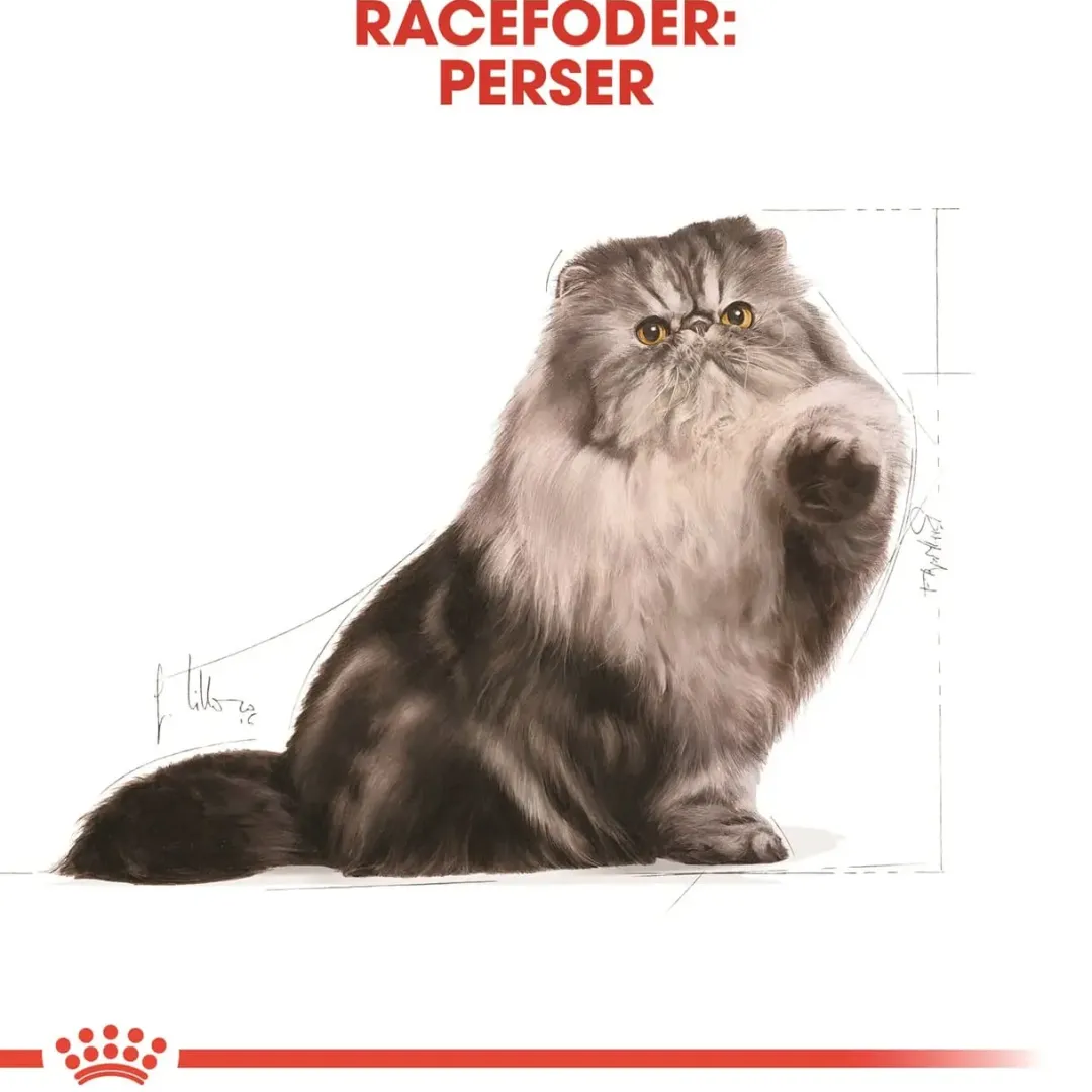 Royal Canin Kattefoder Royal Canin Persian 4 kg
