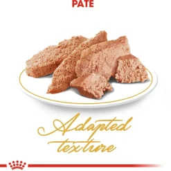 Royal Canin Kattefoder Royal Canin Persian Sovs - vådfoder 85 g