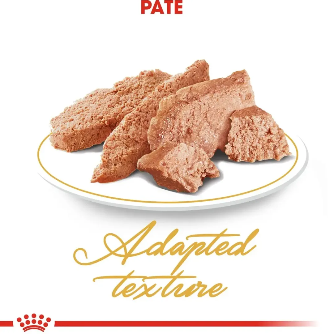 Royal Canin Kattefoder Royal Canin Persian Sovs - vådfoder 85 g