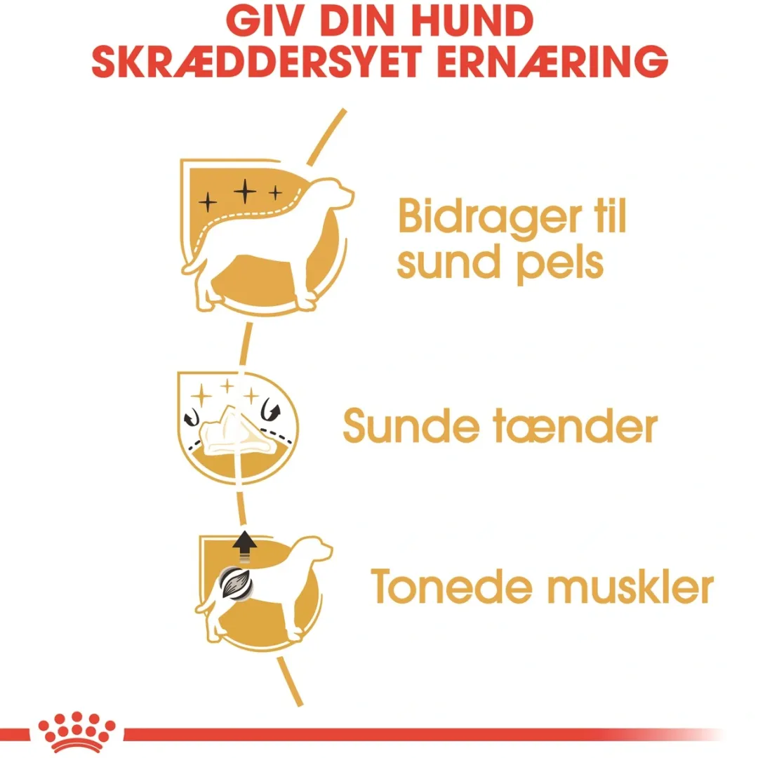 Royal Canin Hundefoder Royal Canin Poodle Adult 1,5 kg - tørfoder til voksne pudler