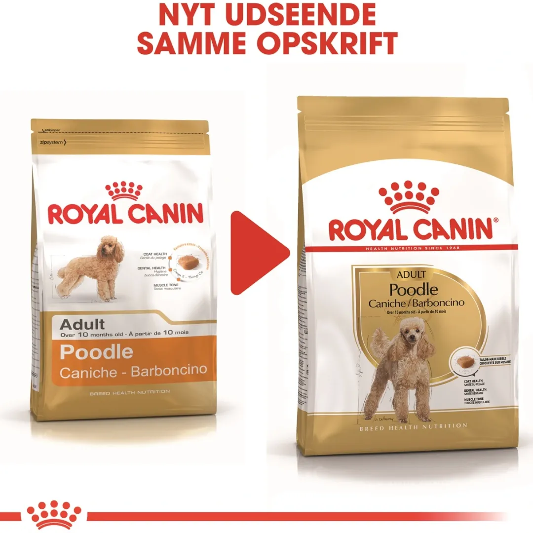 Royal Canin Hundefoder Royal Canin Poodle Adult 1,5 kg - tørfoder til voksne pudler
