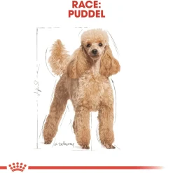 Royal Canin Hundefoder Royal Canin Poodle Adult 7,5 kg - tørfoder til voksne pudler