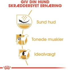 Royal Canin Hundefoder Royal Canin Pug Adult 1,5 kg - tørfoder til mops