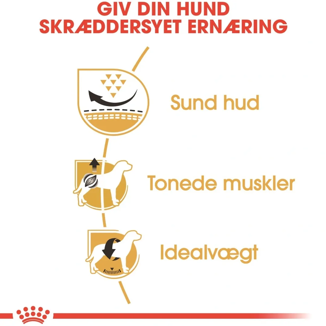 Royal Canin Hundefoder Royal Canin Pug Adult 1,5 kg - tørfoder til mops