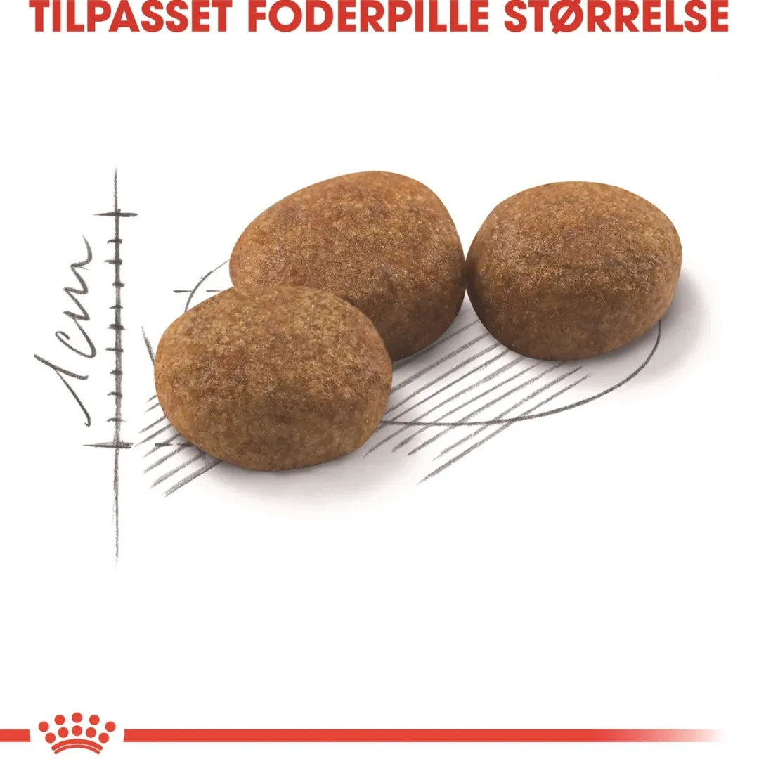 Royal Canin Kattefoder Royal Canin Regular Sterilised 2 kg