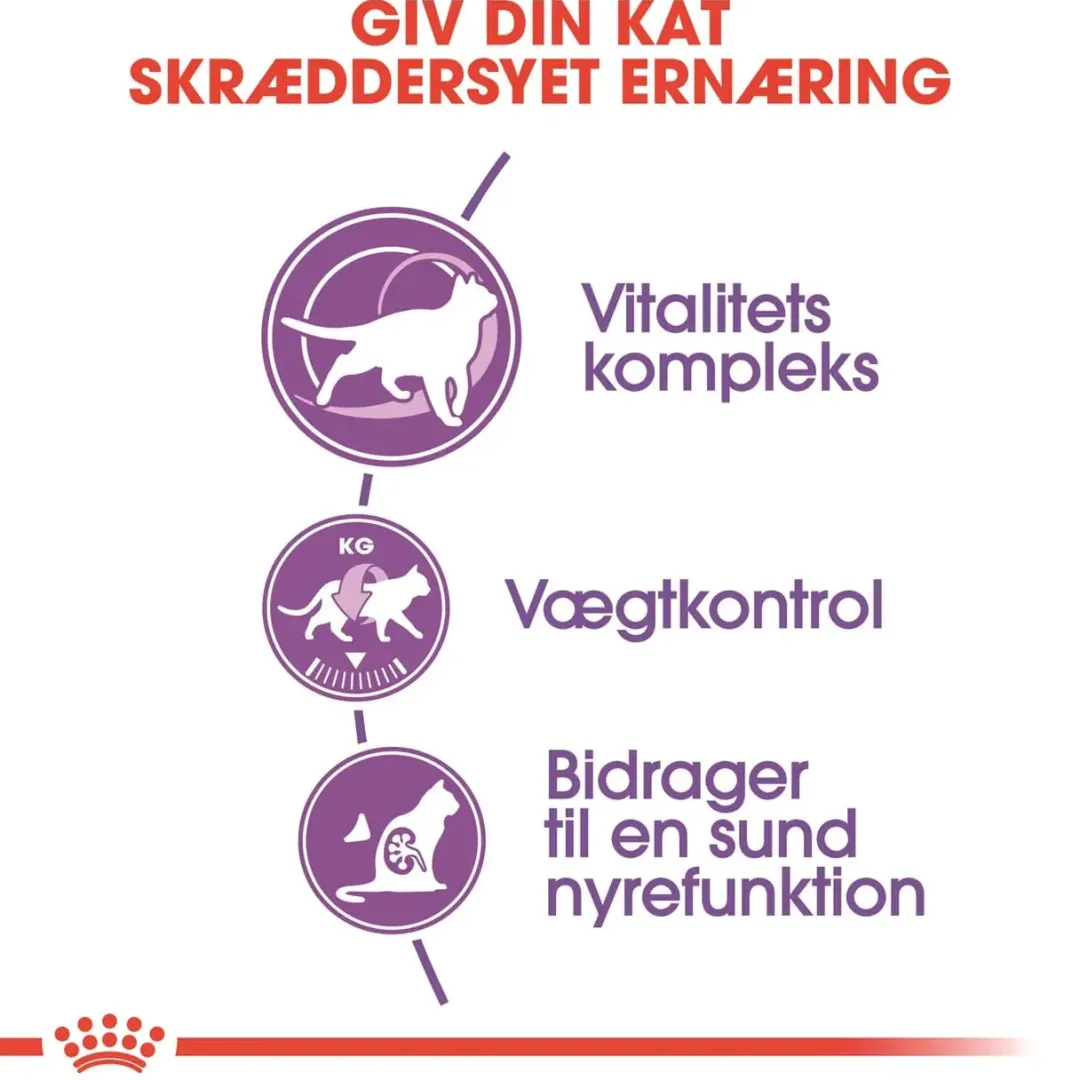 Royal Canin Kattefoder Royal Canin Regular Sterilised +7 3,5 kg