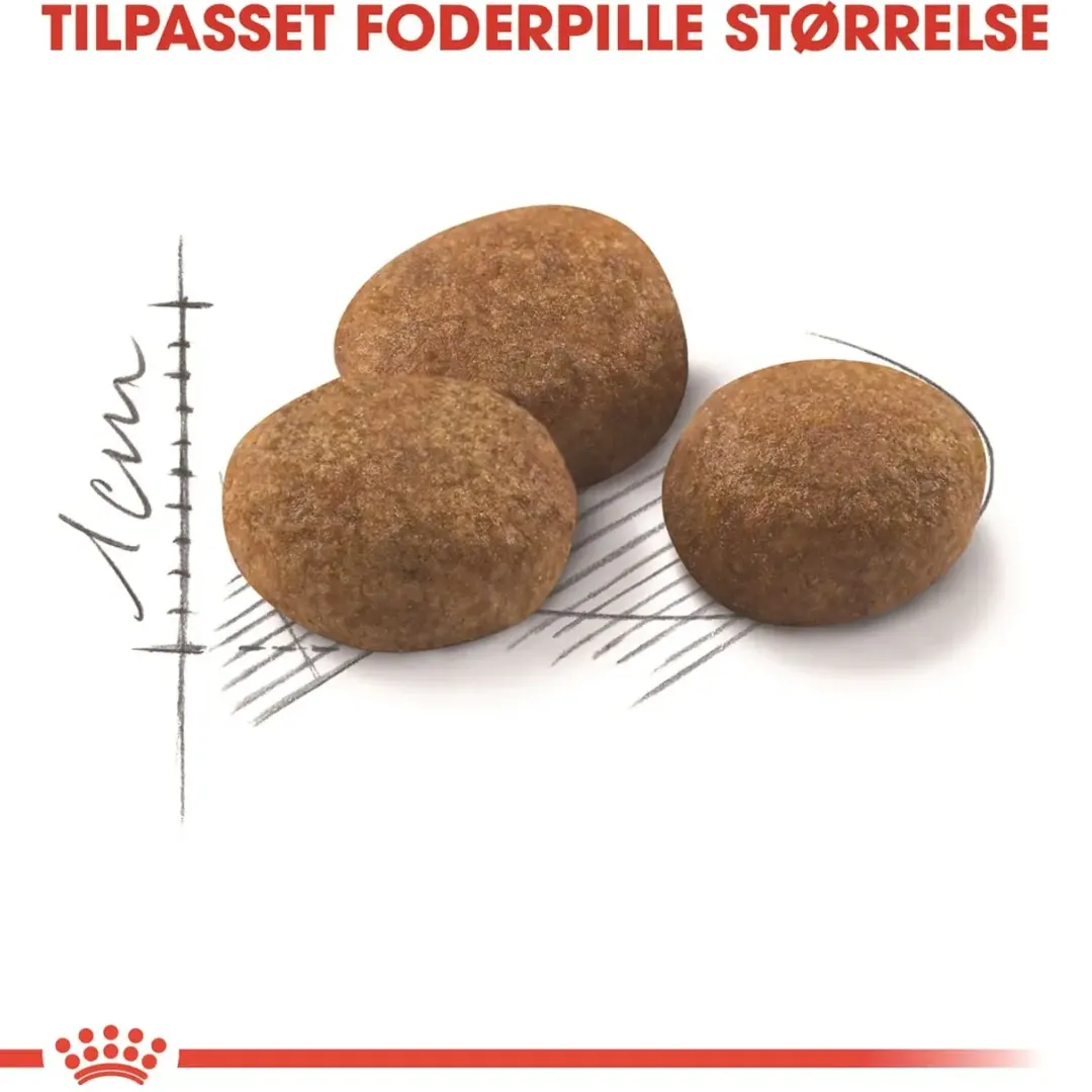 Royal Canin Kattefoder Royal Canin Regular Sterilised +7 3,5 kg