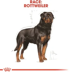Royal Canin Hundefoder Royal Canin Rottweiler Adult 12 kg - tørfoder til voksne hunde