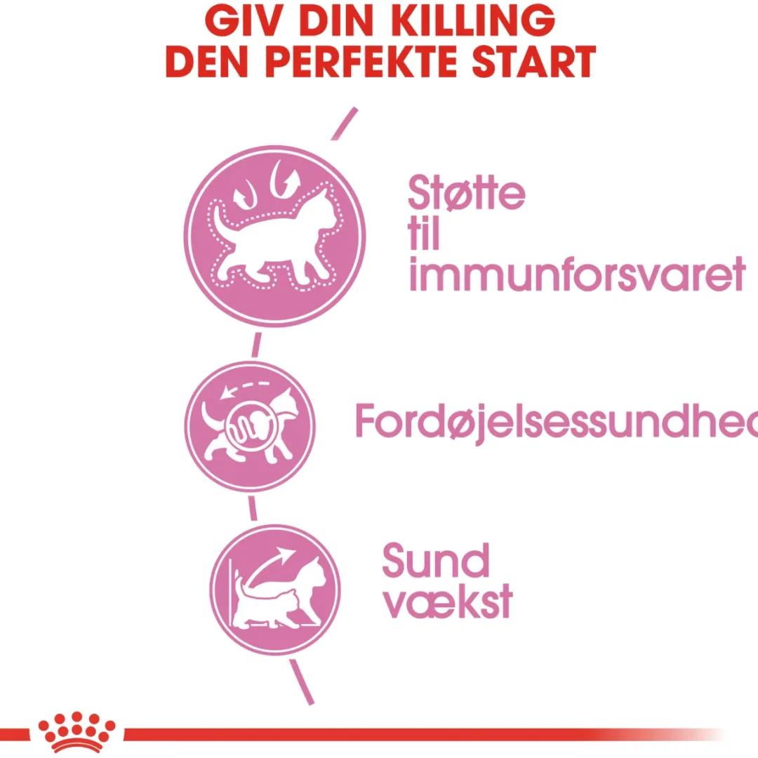 Royal Canin Kattefoder Royal Canin Second Age Kitten 4 kg
