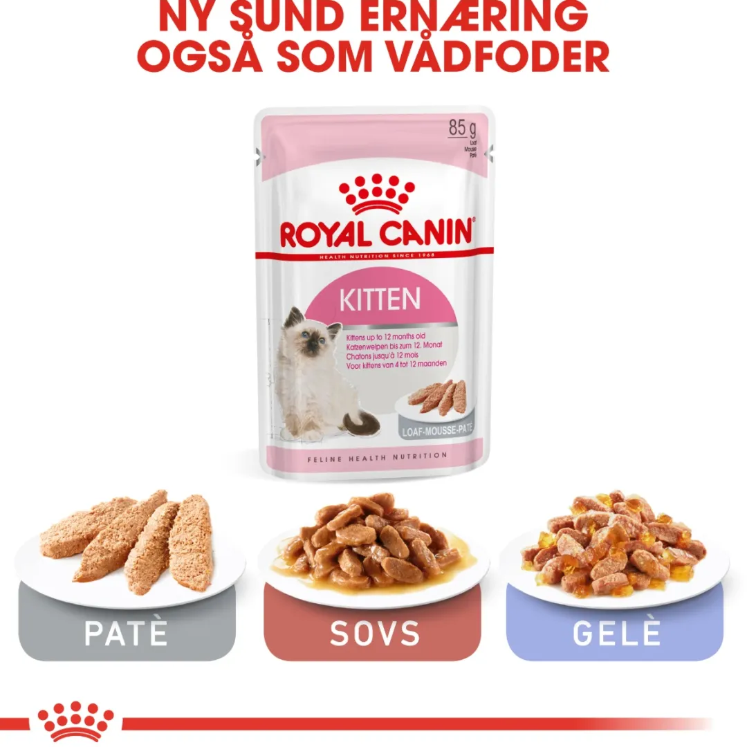 Royal Canin Kattefoder Royal Canin Second Age Kitten 4 kg