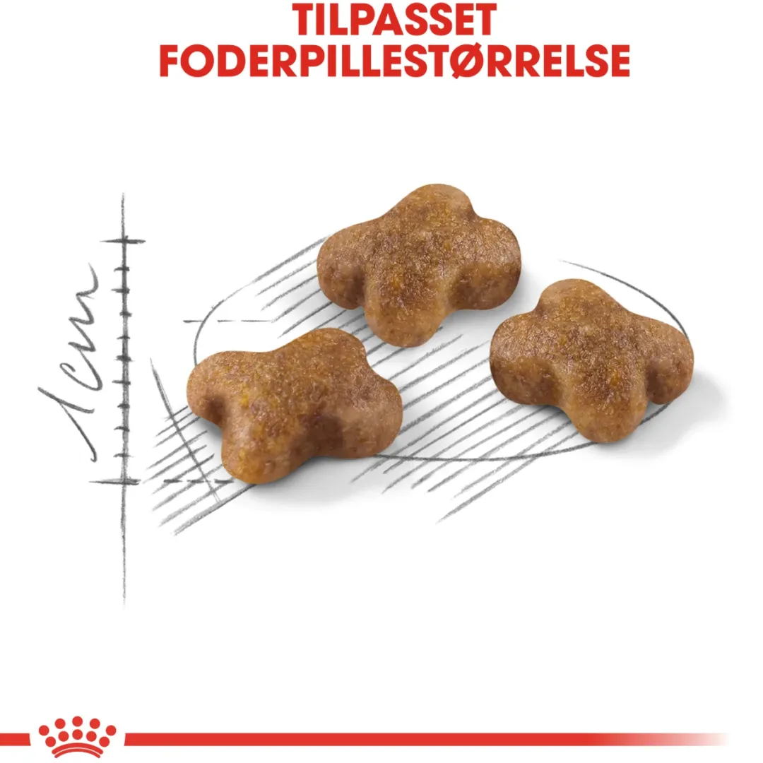 Royal Canin Kattefoder Royal Canin Second Age Kitten 4 kg