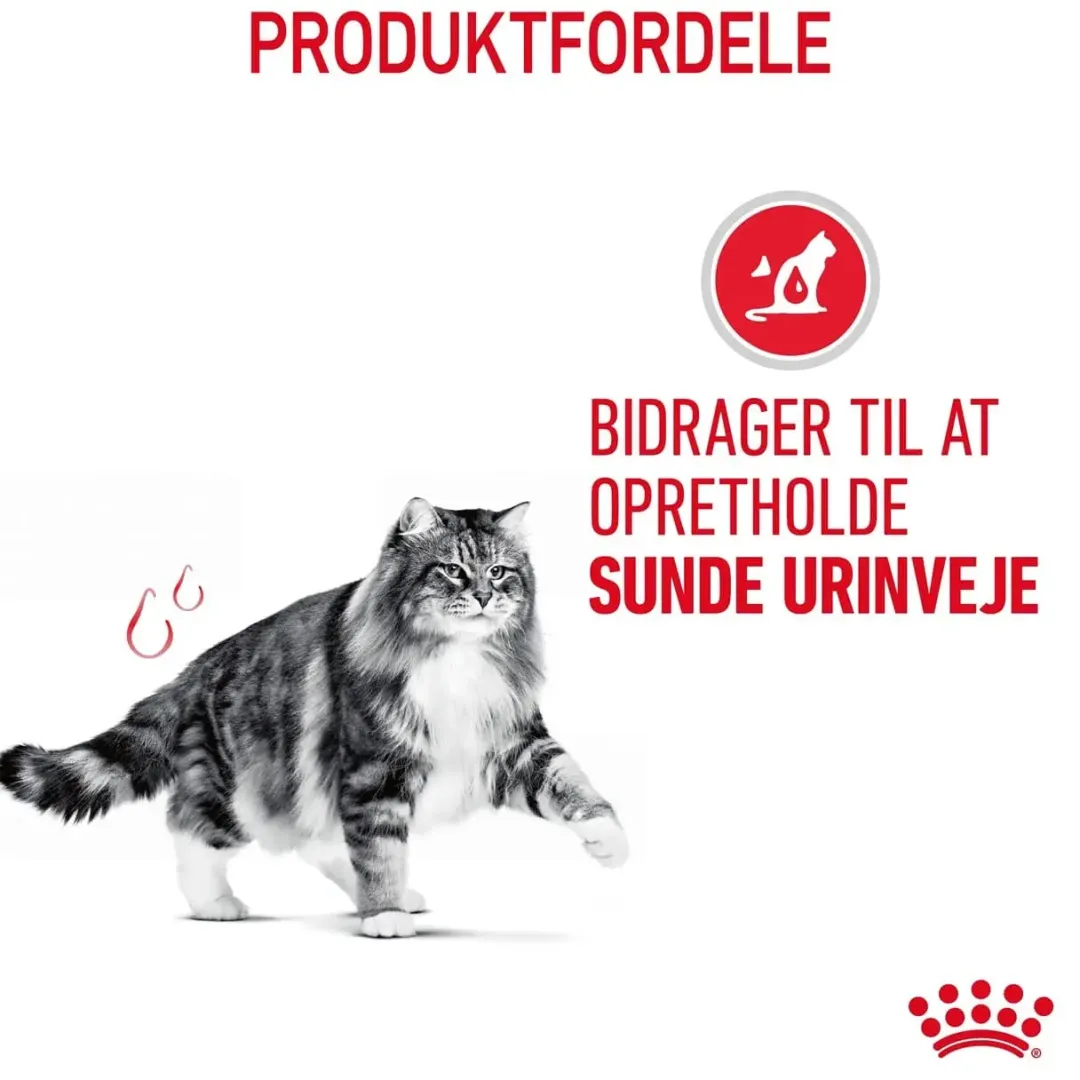 Royal Canin Kattefoder Royal Canin Urinary Care 2 kg