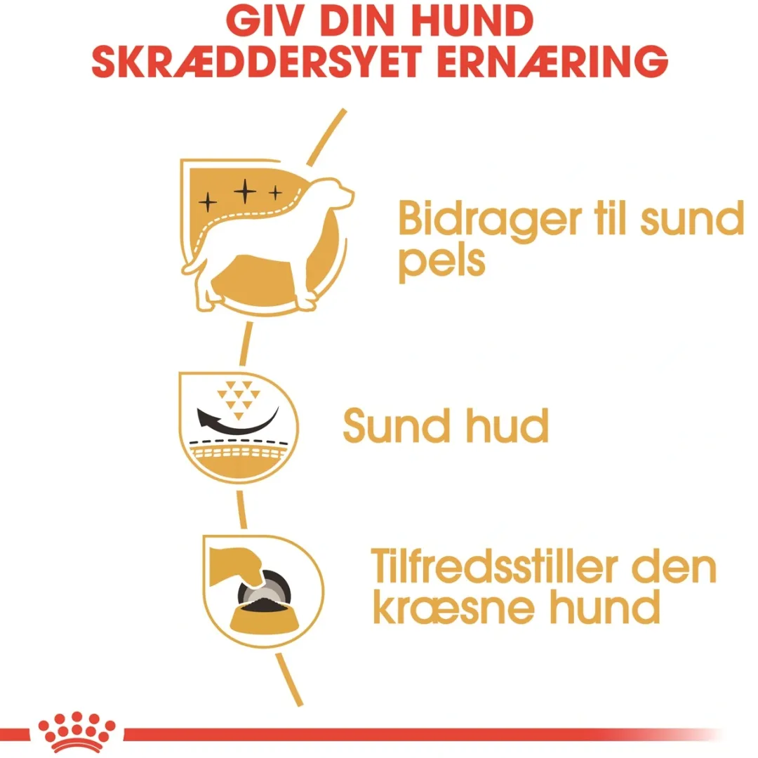 Royal Canin Hundefoder Royal Canin West Highland White Terrier Adult 3 kg - tørfoder til Westie