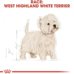 Royal Canin Hundefoder Royal Canin West Highland White Terrier Adult 3 kg - tørfoder til Westie