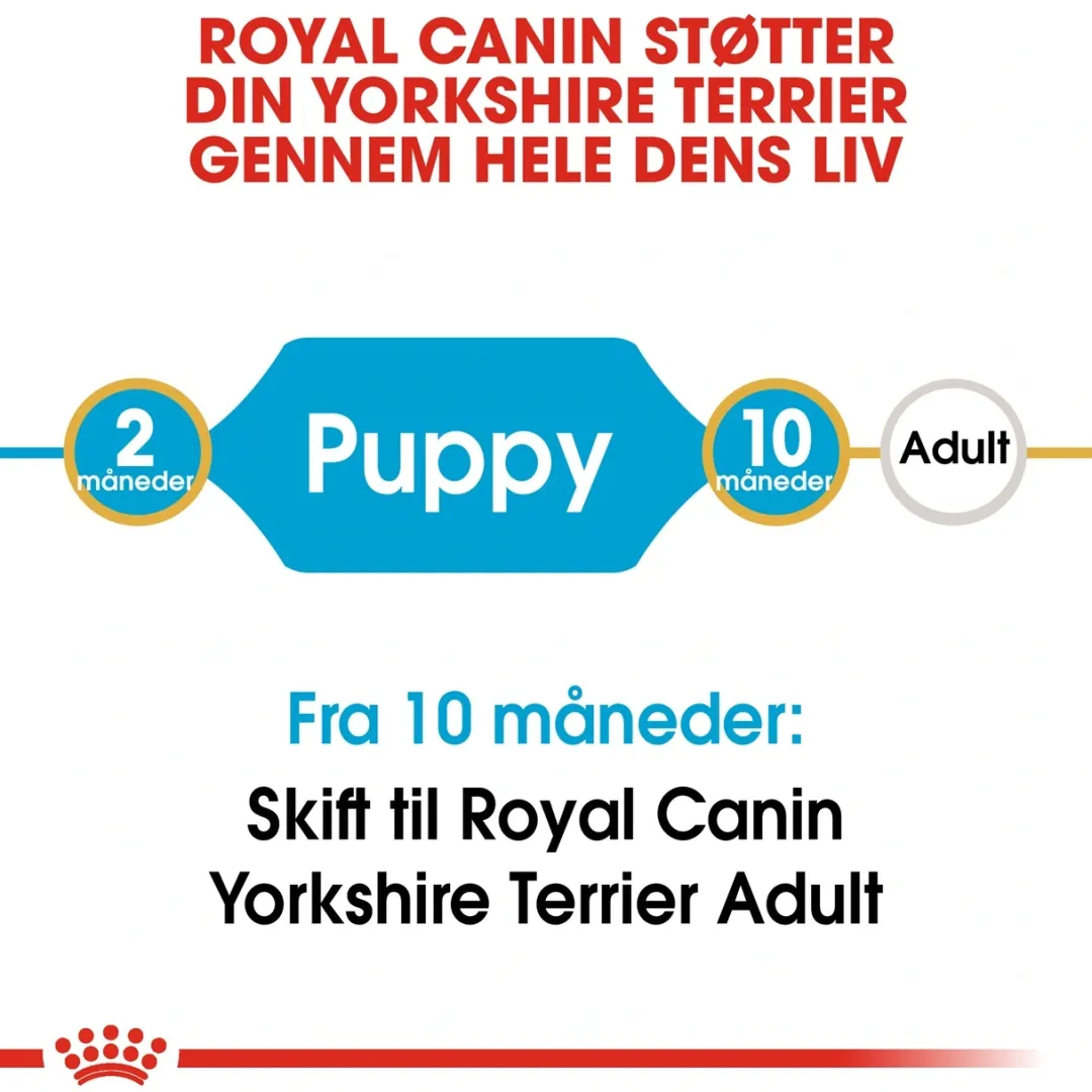 Royal Canin Hundefoder Royal Canin Yorkshire Terrier Puppy 1,5 kg - tørfoder til hvalpe