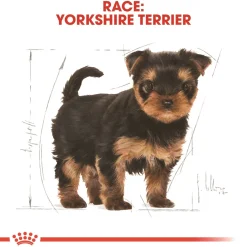 Royal Canin Hundefoder Royal Canin Yorkshire Terrier Puppy 1,5 kg - tørfoder til hvalpe