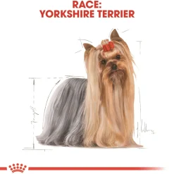 Royal Canin Hundefoder Royal Canin Yorkshire Terrier Adult 1,5 kg - tørfoder til små hunde