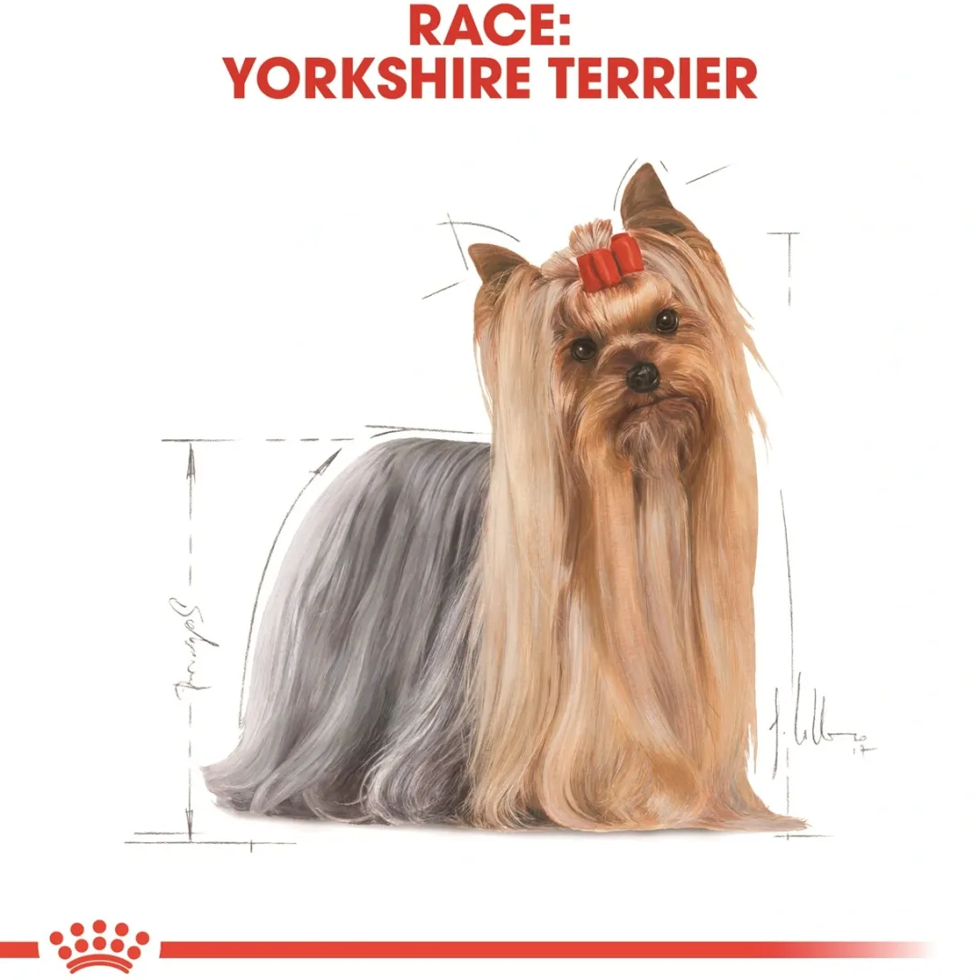 Royal Canin Hundefoder Royal Canin Yorkshire Terrier Adult 7,5 kg - tørfoder til voksne hunde