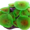 Saltvandsfisk Selvlysende skive anemone