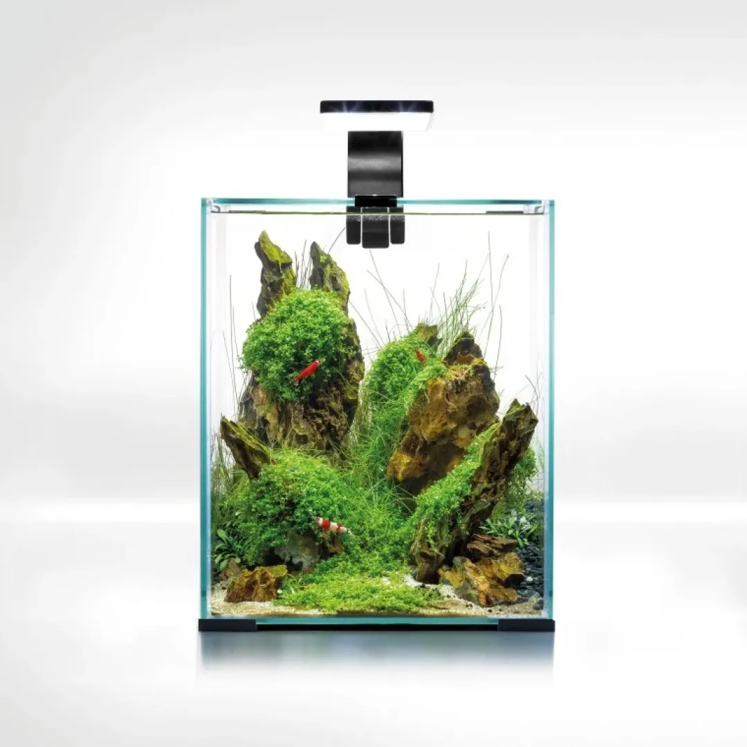 Aquael Shrimpset Day and Night 20 L akvarium 25x25x30 cm Sort