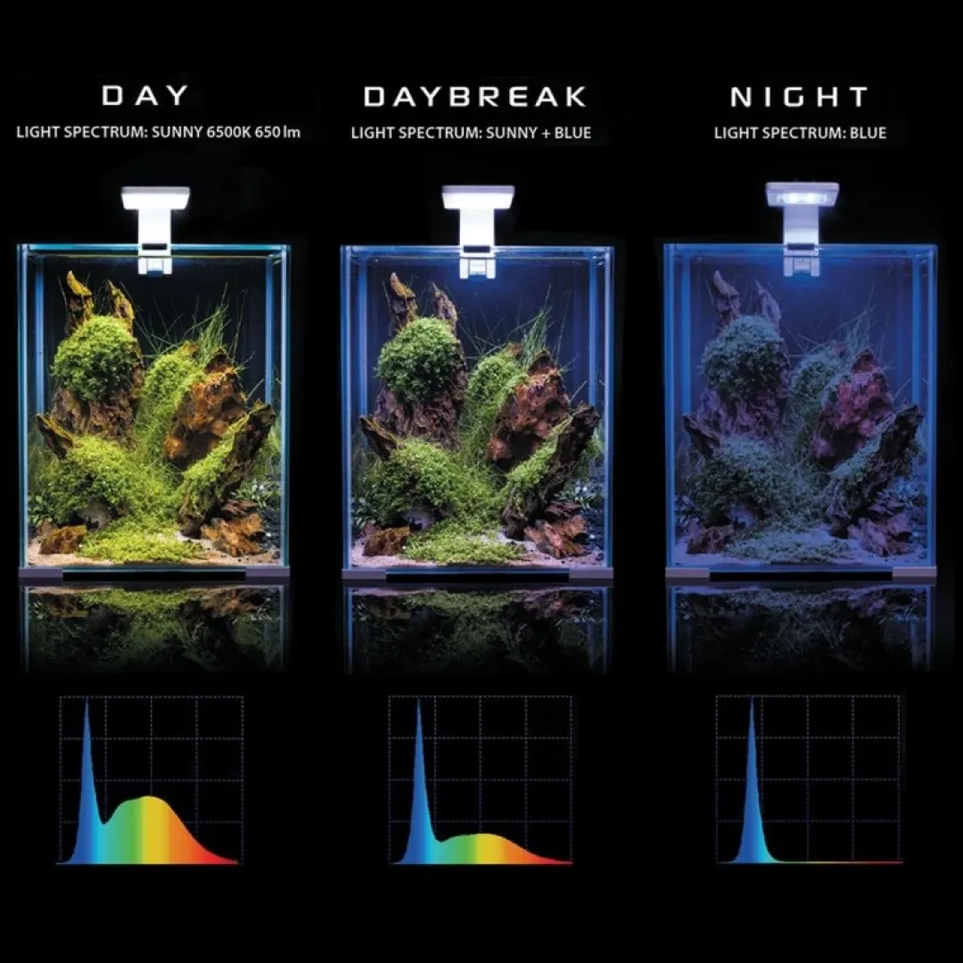 Aquael Shrimpset Day and Night 20 L akvarium 25x25x30 cm Sort