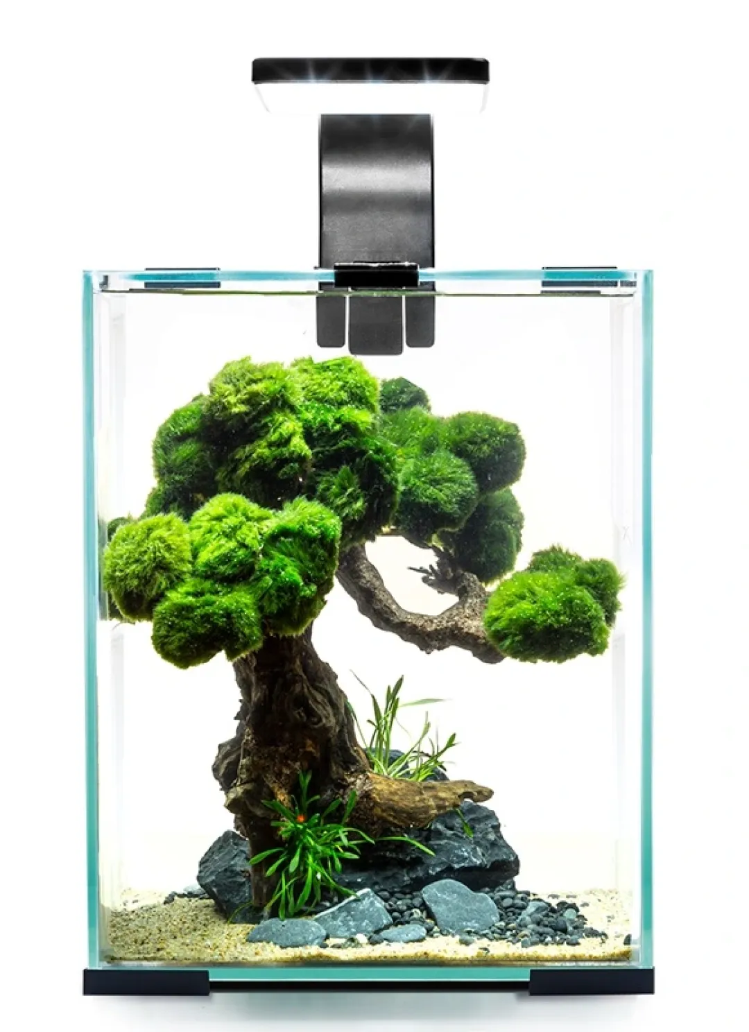 Aquael Shrimpset Day and Night 30 L akvarium 29x29x35 cm Sort