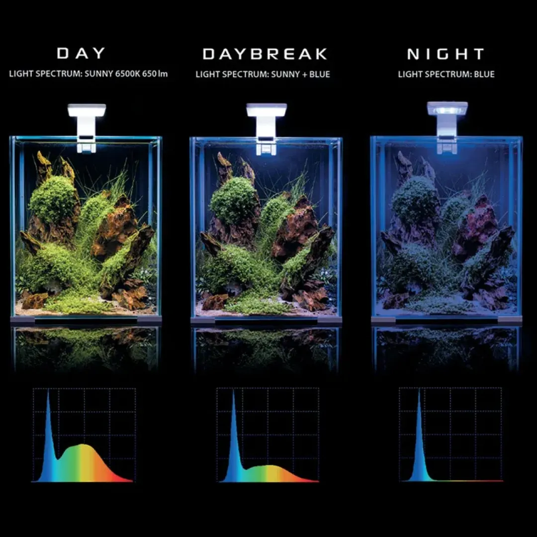 Aquael Shrimpset Day and Night 10 L 20x20x25 cm Hvid