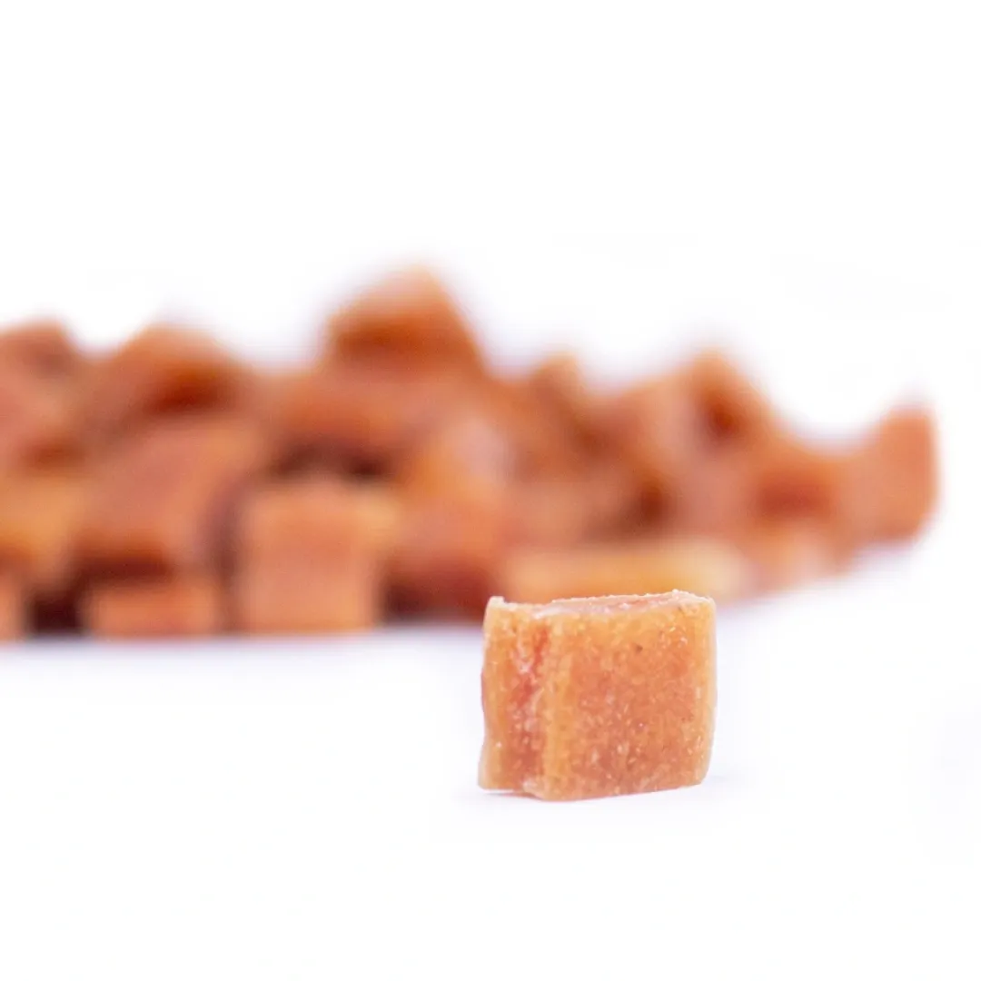 Snackit Kvalitetssnacks til hunde Snackit Filettrainer Kylling 100 g - træningsgodbidder til hunde