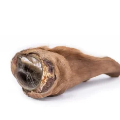 Snackit Kvalitetssnacks til hunde Snackit hesteører med pels 2 stk