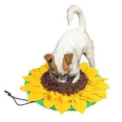 AFP All for paws Snusemåtte solsikke 60x60 til hund - leg og mental aktivering