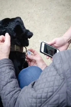 MiniZoo Spotted hundetegn QR ID sort