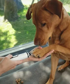 MiniZoo Støjsvag Elektrisk Neglesliber til Hunde og Katte