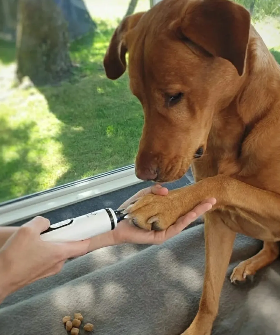 MiniZoo Støjsvag Elektrisk Neglesliber til Hunde og Katte