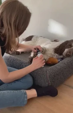 MiniZoo Støjsvag Elektrisk Neglesliber til Hunde og Katte