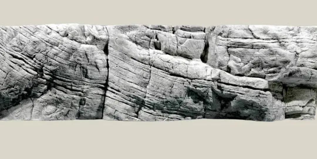 Back to Nature Tanganyika Baggrund Hvid Kalksten 200 x 60 cm