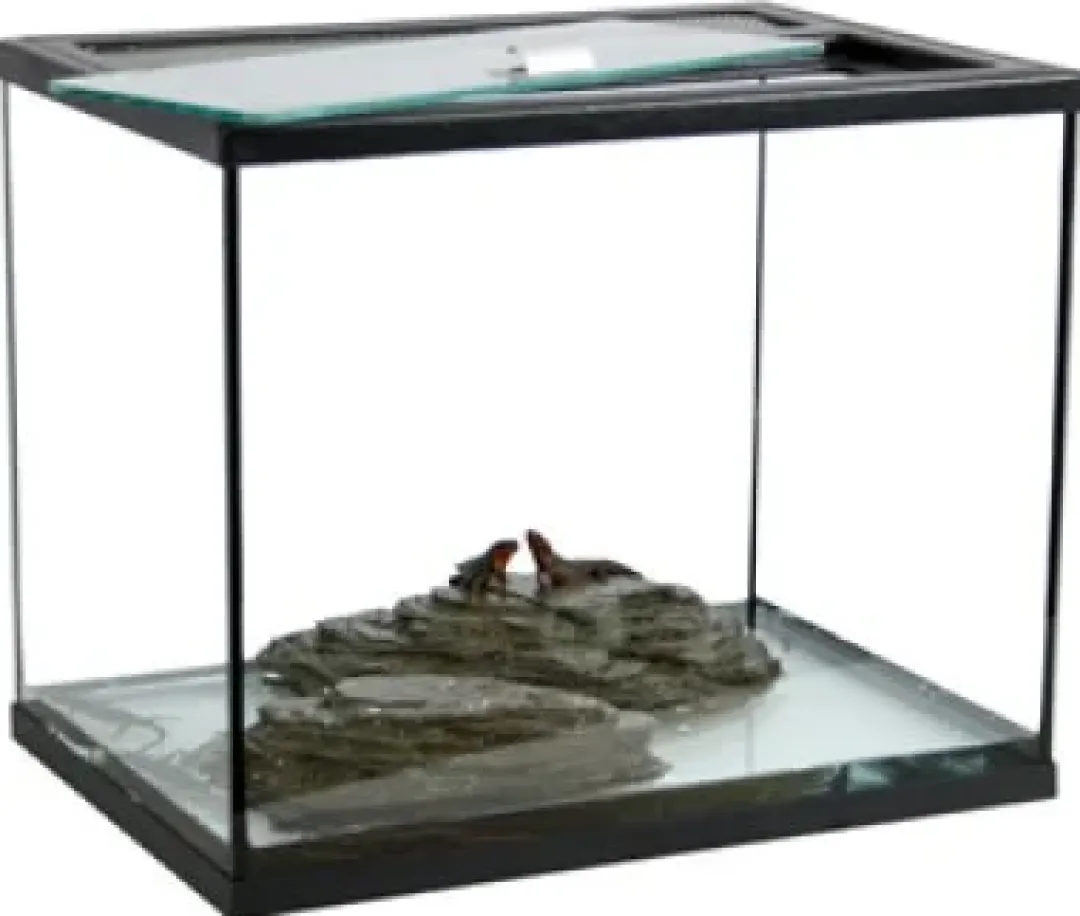MiniZoo Terrarium TOPP 39 liter 40x28x35 cm