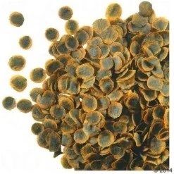 Tetra Fish Tetra Pro Algae Crips 10 L
