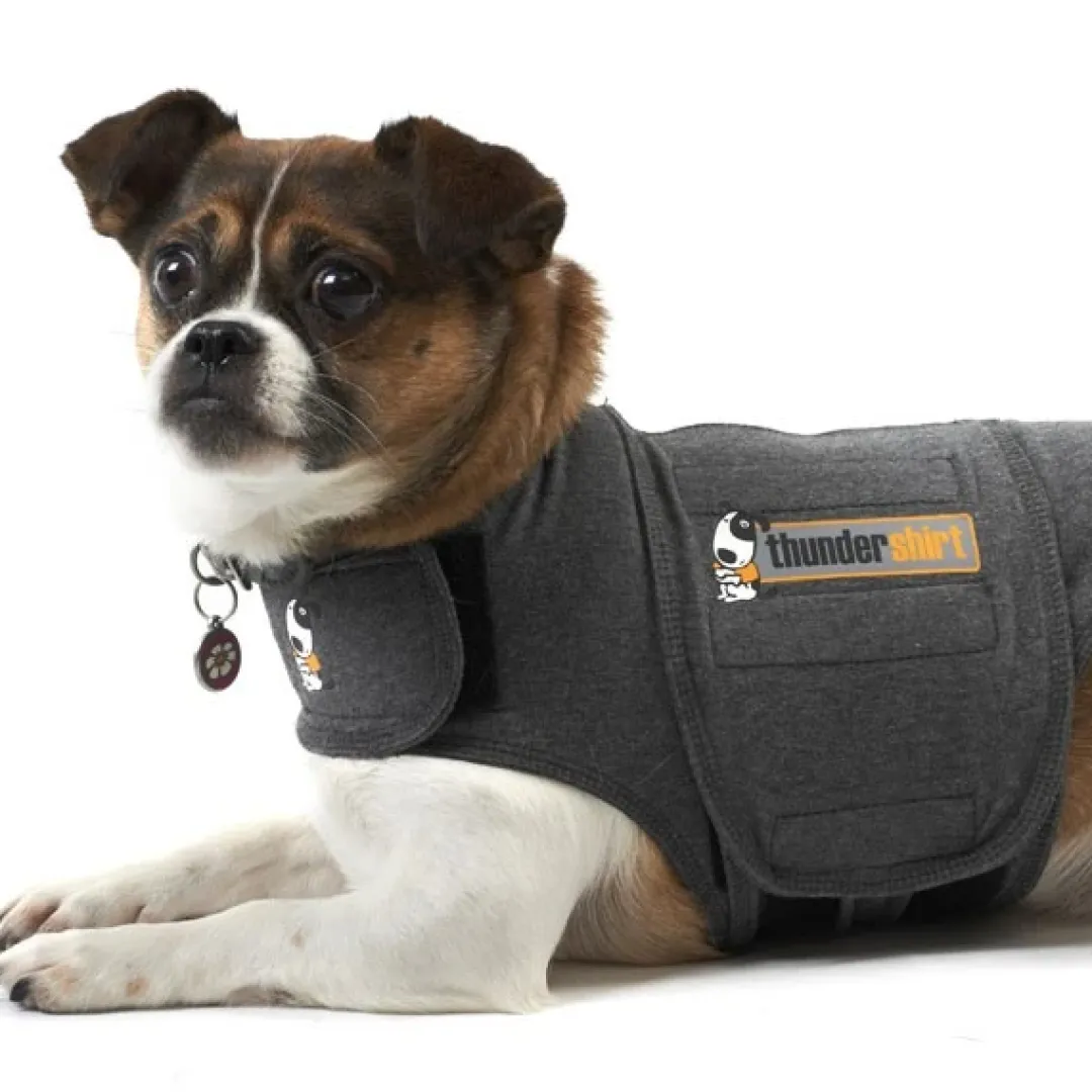 Thundershirts Thundershirt XS