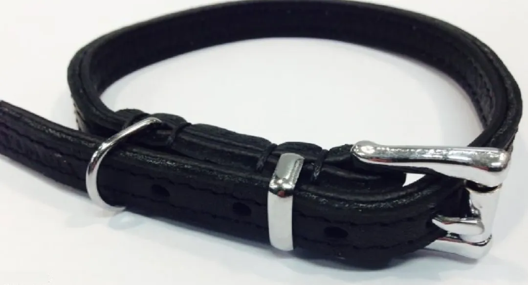 MiniZoo Timely halsbånd olieret læder sort 12 mm 25 cm - blød styrke til små hunde