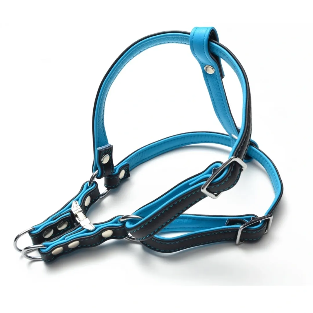 MiniZoo Timely Sele i dobbelsyet læder blå/sort 20/35 cm