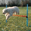 Trixie Agility Hurdle - springtræning til hunde