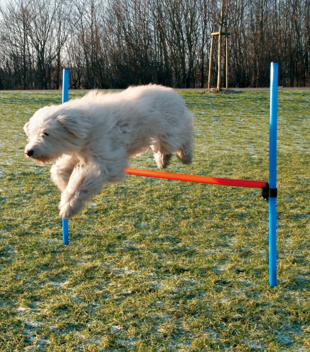 Trixie Agility Hurdle - springtræning til hunde