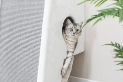 Trixie Kradsestation til vægmontering 110 cm